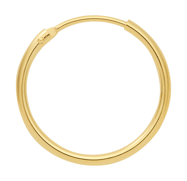 Röhrchencreole aus 333 Gold