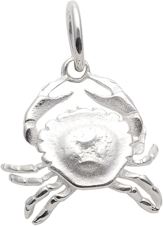 Krebs Sternezeichen Anhänger aus 925 Silber