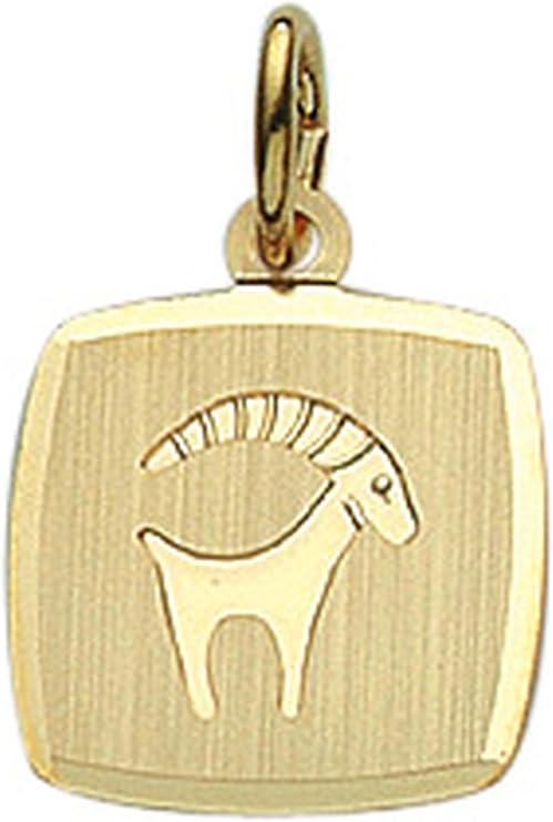 Steinbock Sternezeichen Anhänger aus 333 Gelbgold