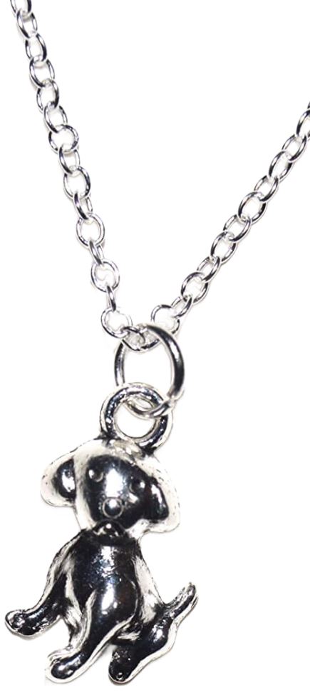 Hund Anhänger mit Silber Kette 50cm