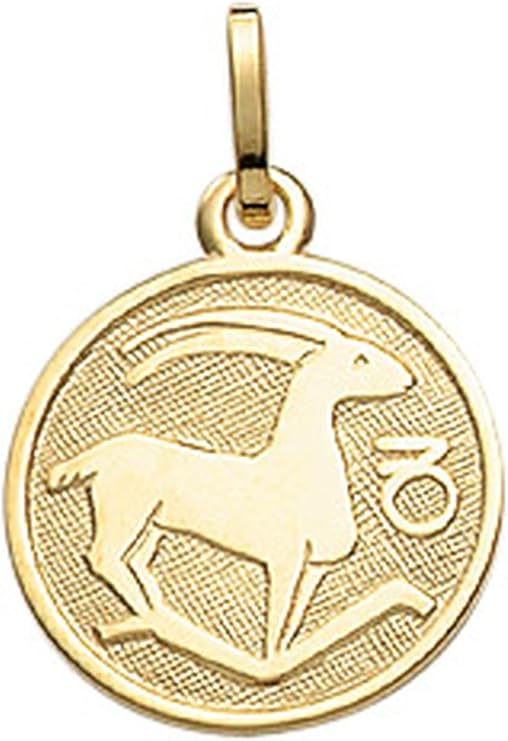 Steinbock Sternezeichen Anhänger aus 333 echt Gelbgold